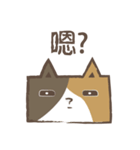 poker cat（個別スタンプ：6）