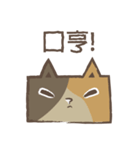 poker cat（個別スタンプ：8）