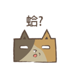 poker cat（個別スタンプ：9）