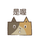 poker cat（個別スタンプ：10）