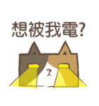 poker cat（個別スタンプ：12）