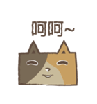 poker cat（個別スタンプ：13）