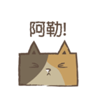 poker cat（個別スタンプ：14）