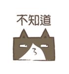 poker cat（個別スタンプ：19）