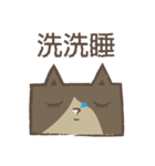 poker cat（個別スタンプ：21）