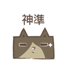 poker cat（個別スタンプ：26）