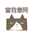 poker cat（個別スタンプ：29）