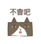 poker cat（個別スタンプ：30）