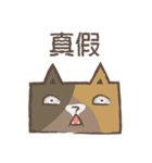 poker cat（個別スタンプ：33）