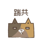 poker cat（個別スタンプ：34）