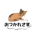 吹き出しに猫だらけ 大きな文字（個別スタンプ：5）