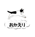 吹き出しに猫だらけ 大きな文字（個別スタンプ：7）