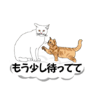 吹き出しに猫だらけ 大きな文字（個別スタンプ：9）