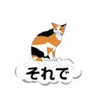 吹き出しに猫だらけ 大きな文字（個別スタンプ：12）