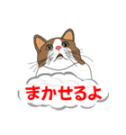 吹き出しに猫だらけ 大きな文字（個別スタンプ：15）