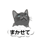 吹き出しに猫だらけ 大きな文字（個別スタンプ：18）