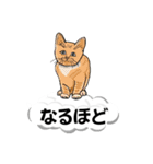 吹き出しに猫だらけ 大きな文字（個別スタンプ：19）