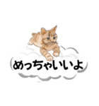 吹き出しに猫だらけ 大きな文字（個別スタンプ：21）