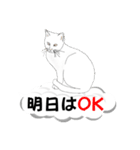 吹き出しに猫だらけ 大きな文字（個別スタンプ：22）