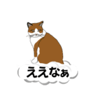 吹き出しに猫だらけ 大きな文字（個別スタンプ：24）