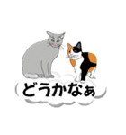 吹き出しに猫だらけ 大きな文字（個別スタンプ：29）