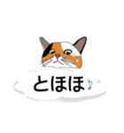 吹き出しに猫だらけ 大きな文字（個別スタンプ：39）