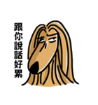 the Arrogant Afghan Hound（個別スタンプ：1）