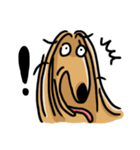 the Arrogant Afghan Hound（個別スタンプ：4）