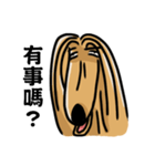 the Arrogant Afghan Hound（個別スタンプ：7）