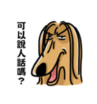 the Arrogant Afghan Hound（個別スタンプ：10）