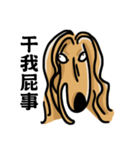 the Arrogant Afghan Hound（個別スタンプ：11）