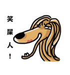 the Arrogant Afghan Hound（個別スタンプ：12）