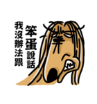 the Arrogant Afghan Hound（個別スタンプ：15）