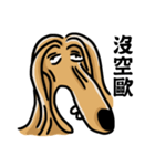 the Arrogant Afghan Hound（個別スタンプ：16）