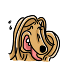 the Arrogant Afghan Hound（個別スタンプ：19）