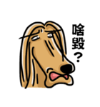 the Arrogant Afghan Hound（個別スタンプ：21）