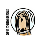 the Arrogant Afghan Hound（個別スタンプ：24）