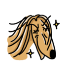 the Arrogant Afghan Hound（個別スタンプ：28）