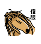 the Arrogant Afghan Hound（個別スタンプ：30）