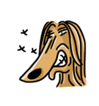 the Arrogant Afghan Hound（個別スタンプ：34）