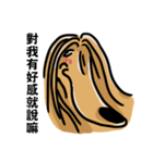 the Arrogant Afghan Hound（個別スタンプ：35）