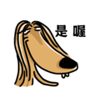 the Arrogant Afghan Hound（個別スタンプ：36）