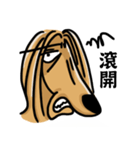 the Arrogant Afghan Hound（個別スタンプ：40）