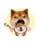 柴犬の「芝けん太」（個別スタンプ：29）