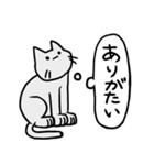 しゃべらない猫（個別スタンプ：6）