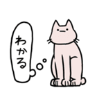 しゃべらない猫（個別スタンプ：17）