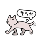 しゃべらない猫（個別スタンプ：22）