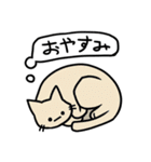 しゃべらない猫（個別スタンプ：23）