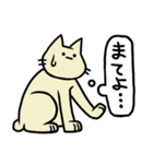 しゃべらない猫（個別スタンプ：24）