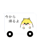 わんこの吹き出しスタンプ♪ポメラニアン編（個別スタンプ：24）